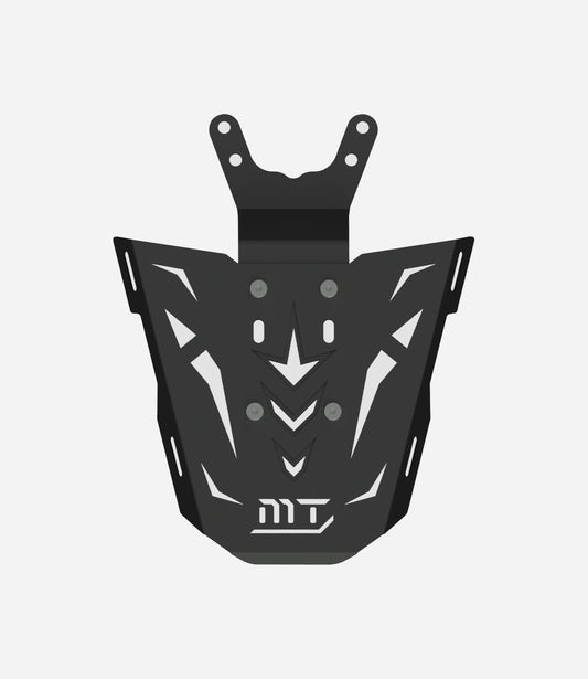 TVS APACHE RTR 200 4v - Back Carrier